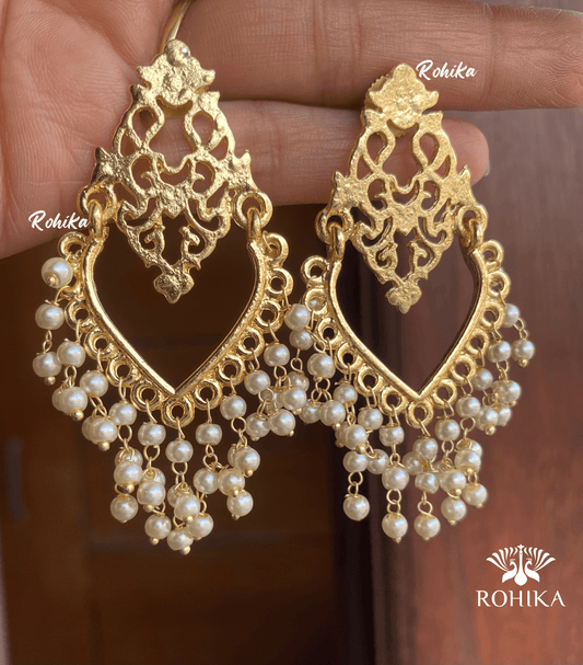 Tanu Beautiful earrings-Golden - Rohika Store