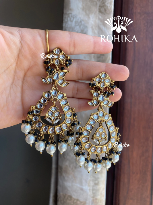 Aashi beautiful earrings - Black